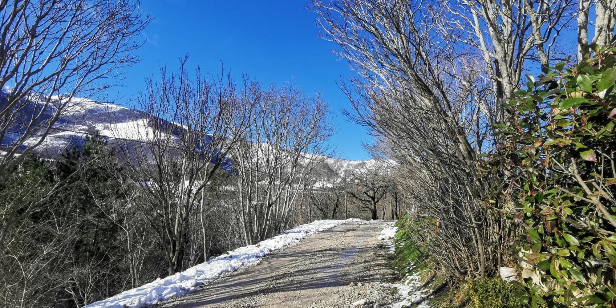 La Casetta Di Gino E Marcella Apartment Sassoferrato