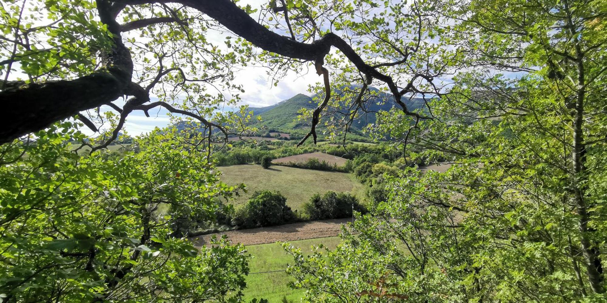 La Casetta Di Gino E Marcella * Sassoferrato